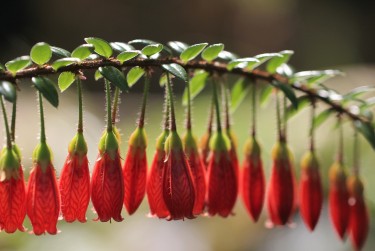 中山黄圃7私人快速借钱网，轻松解决资金难题