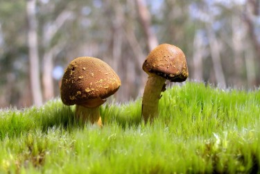 中山黄圃7私人老板放款：轻松融资的秘密通道